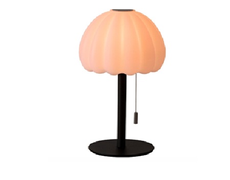 LAMP009